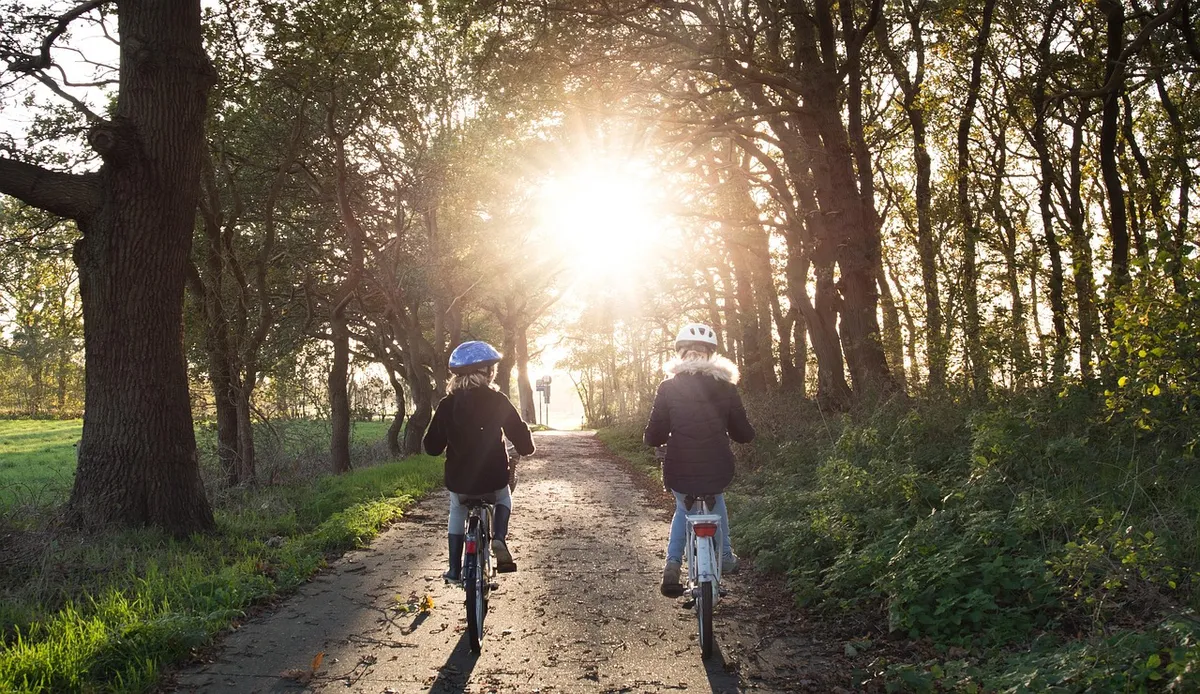 girls, bicycle, helmets, bicycle lane, trees, undergrowth, park, woods, safety, sunny, sunset, bike path, bike, people, cyclists, road, ride, biking, riding a b