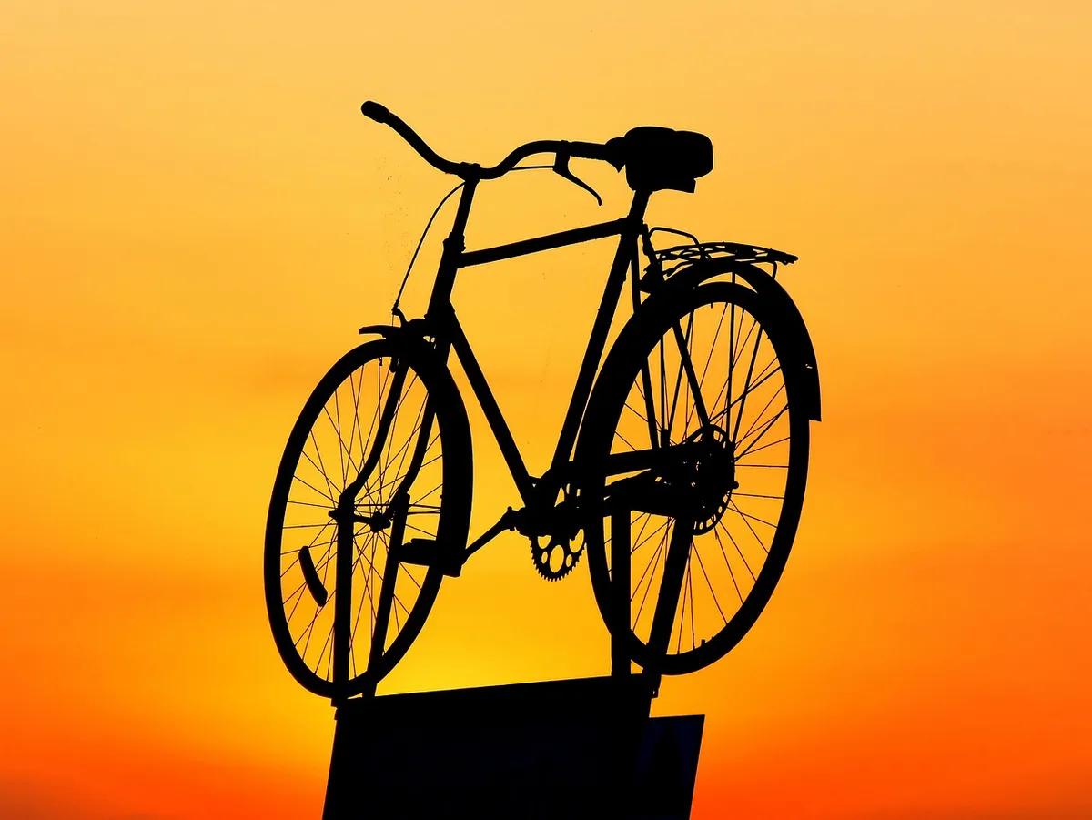 bike, bicycle, nature, wheel, cycling, sunset, sport, exercise, transport, transportation