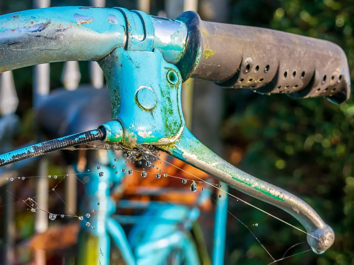 bicycle, old, historical, cobwebs, water, handle, bicycle brake, weathered, nature, technology