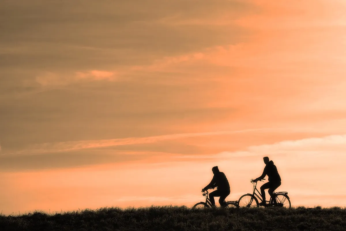 cyclist, person, people, men, bicycle, cycling, exercise, active, travel, transport, ride, bicycle ride, nature, road, sunset, silhouette