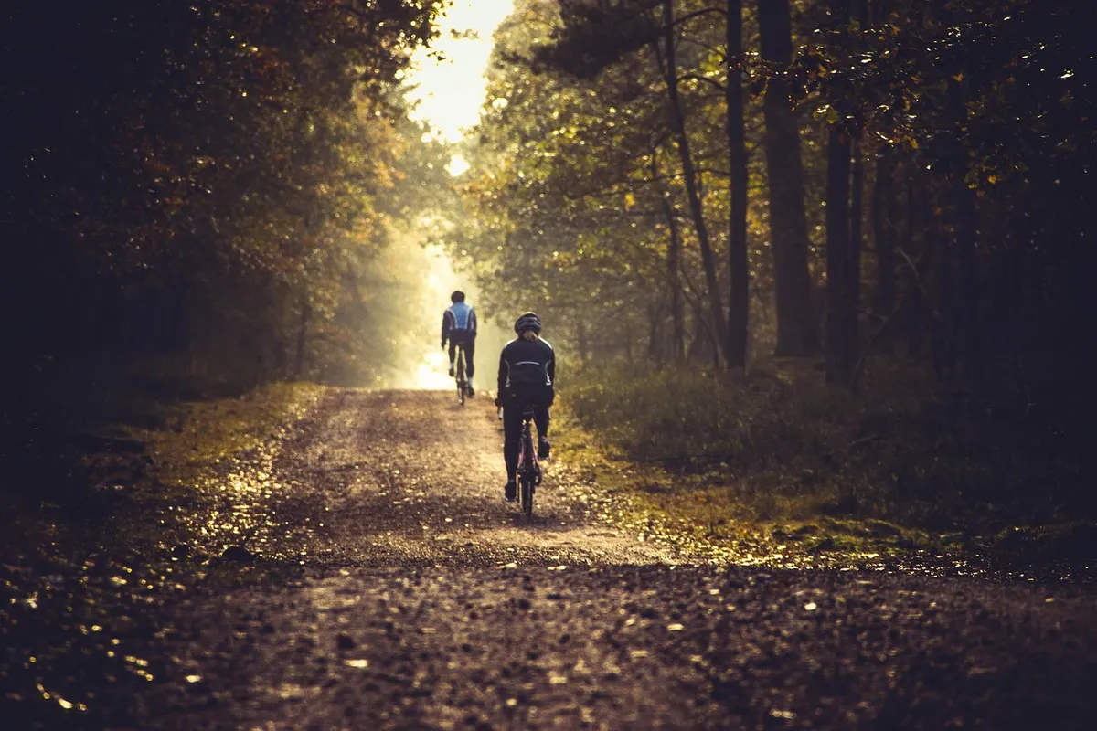 cycling, bicycle, mountainbike, nature, landscape, forest, sun, autumn, cycling, cycling, bicycle, mountainbike, mountainbike, mountainbike, mountainbike, mount